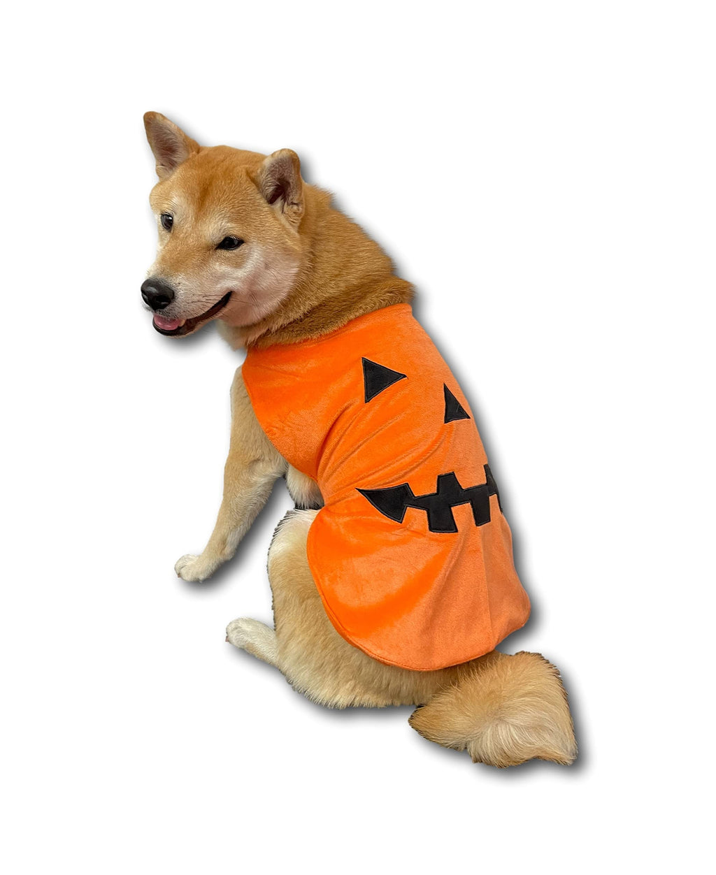 ComfyCamper Pumpkin Dog Costume - X Large Medium Small Shepherd French Lab Retrieve Pet Cosplay Halloween Costumes (Large)